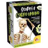 Lisciani - I'm A Genius Scienza Pocket Scopri Il Corpo Umano LSC100224 - Italian Edition