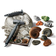Clementoni Scienza E Gioco Lab - Fossils And Minerals Toy Playsets