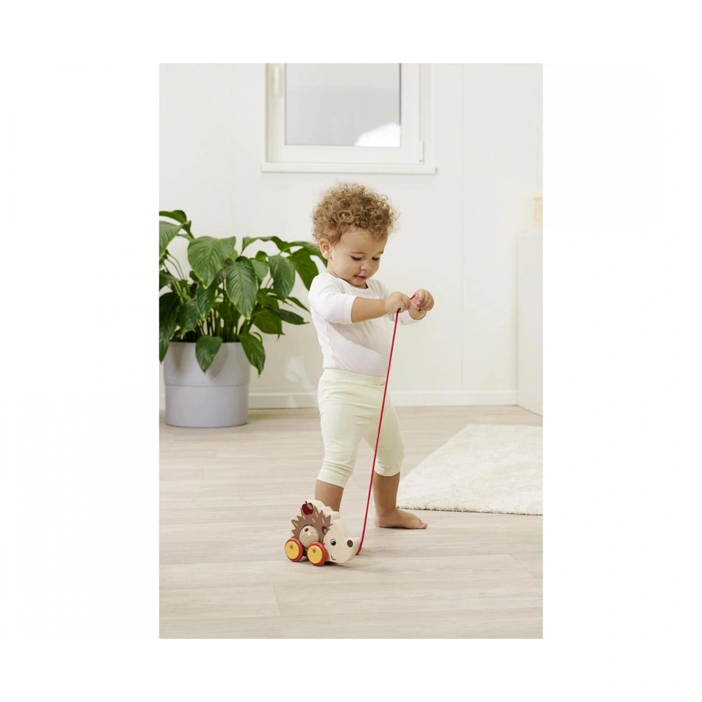 Eichhorn Pull Back Hedgehog toy displayed with a child playing on a light wooden floor in a minimalist room.