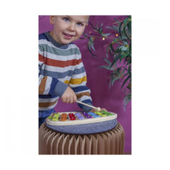 Eichhorn - Xylophone - Musical Instruments - Musical Instruments