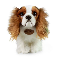 Rappa - Peluche King Charles Spaniel - Peluches - +0 - RAP - ECO - CHIEN - 25 - 69520304