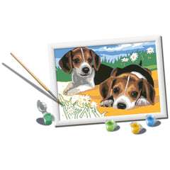 Ravensburger - Creart Beagle-Welpen - Malen nach Zahlen - Basteln und Kunst