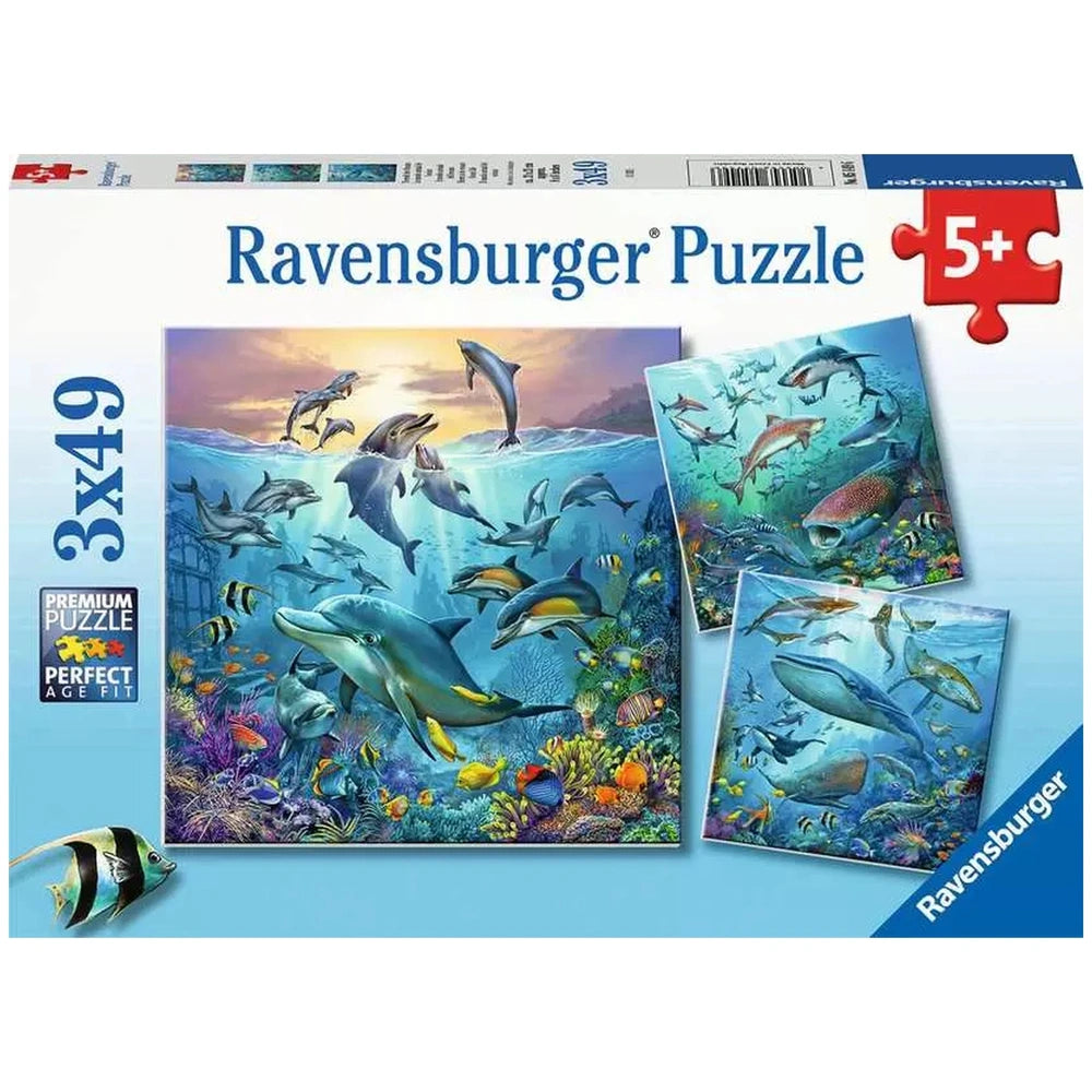 Ravensburger - Ocean Wildlife - 3x49 Pieces - Puzzles