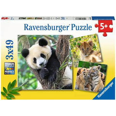Ravensburger - Panda Tiger und Löwe - 3x49 Teile - Puzzles