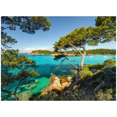 Ravensburger - Puzzle 500 Pieces Coastal View - Puzzles