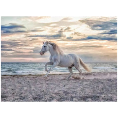 Ravensburger - Puzzle 500 Pieces Horse on Beach - Puzzles