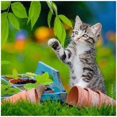 Ravensburger - Sweet Velvet Paws - 3x49 Pieces - Puzzles