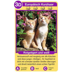 Ravensburger - Tierquartett Katzen - Kartenspiel