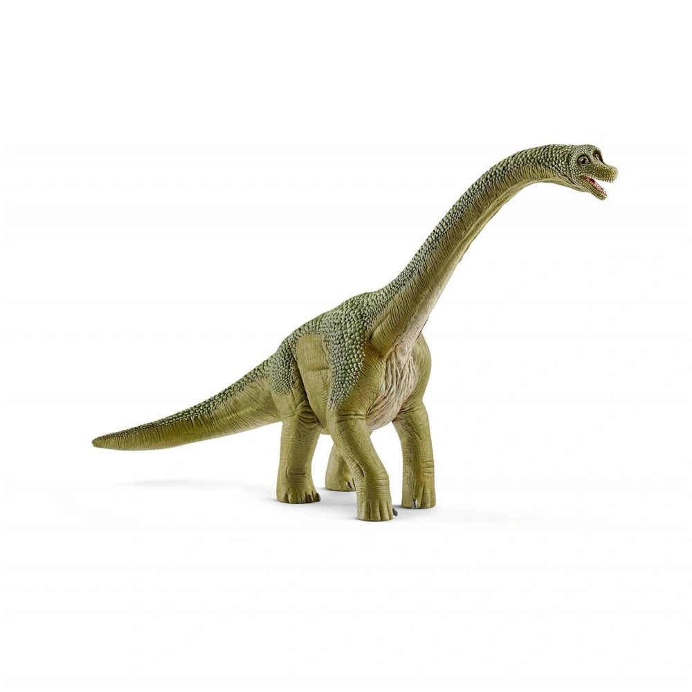 Schleich - Dinosaurs - Brachiosaurus - Action & Toy Figures - 14581