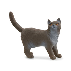 Schleich - Farm World - British Shorthair Cat - Action & Toy Figures - 13973
