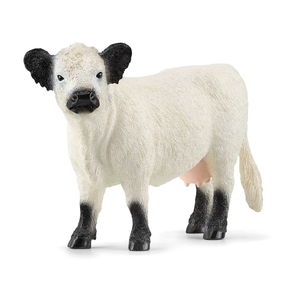 Schleich - Farm World - Galloway Cow - Action- und Spielzeugfiguren - 13960