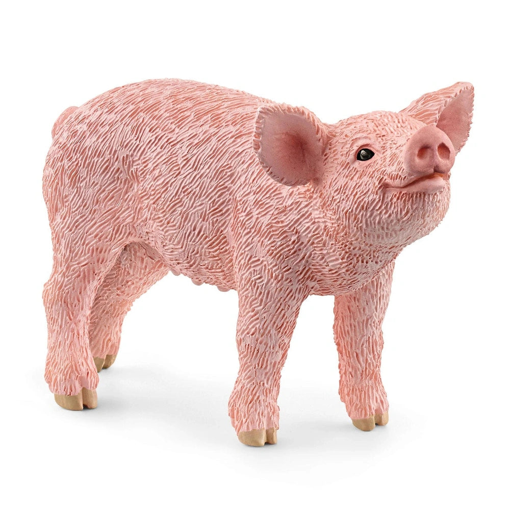 Schleich - Farm World - Ferkel - Action- und Spielzeugfiguren - 13934