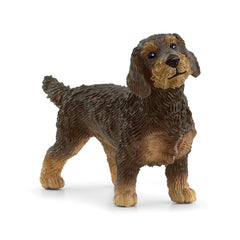 Schleich - Farm World - Drahthaariger Dachshund - Action- und Spielzeugfiguren - 13972