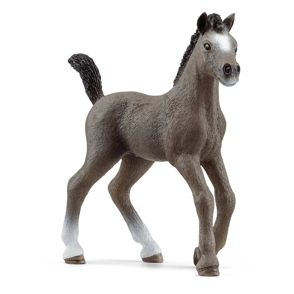 Schleich - Horse Club - Cheval De Selle Francais Foal - Action & Toy Figures - 13957