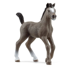 Schleich - Horse Club - Cheval De Selle Francais Foal - Action & Toy Figures - 13957