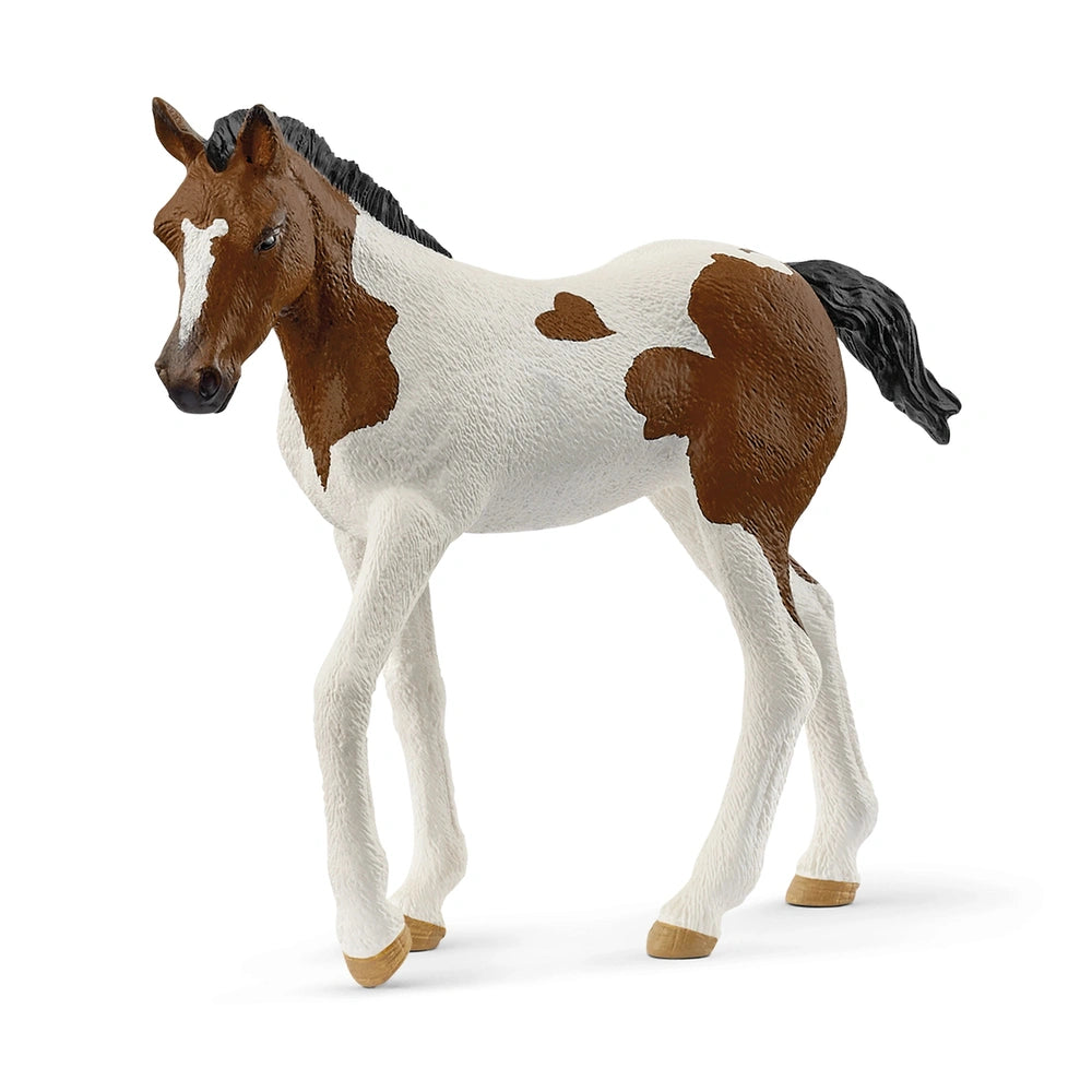 Schleich - Horse Club - Paint Horse Foal - Action & Toy Figures - 14899