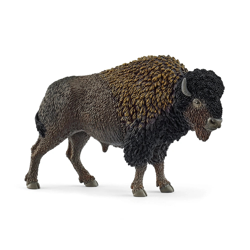 Schleich - Wild Life - Bison - Action & Toy Figures - 14879