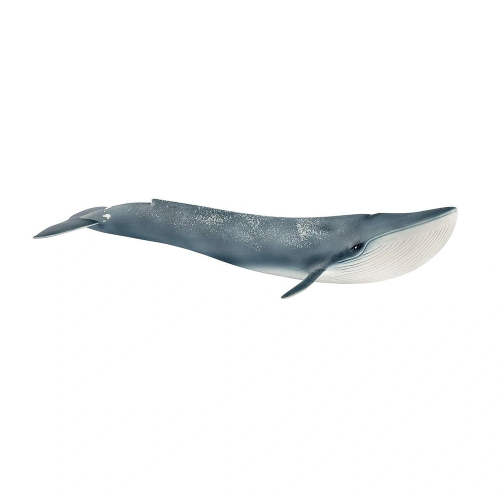 Schleich - Wild Life - Baleine bleue - Figurines d'action et de jouets - 14806