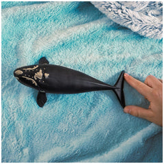 Schleich - Wild Life - North Atlantic Right Whale - Action & Toy Figures - 14878