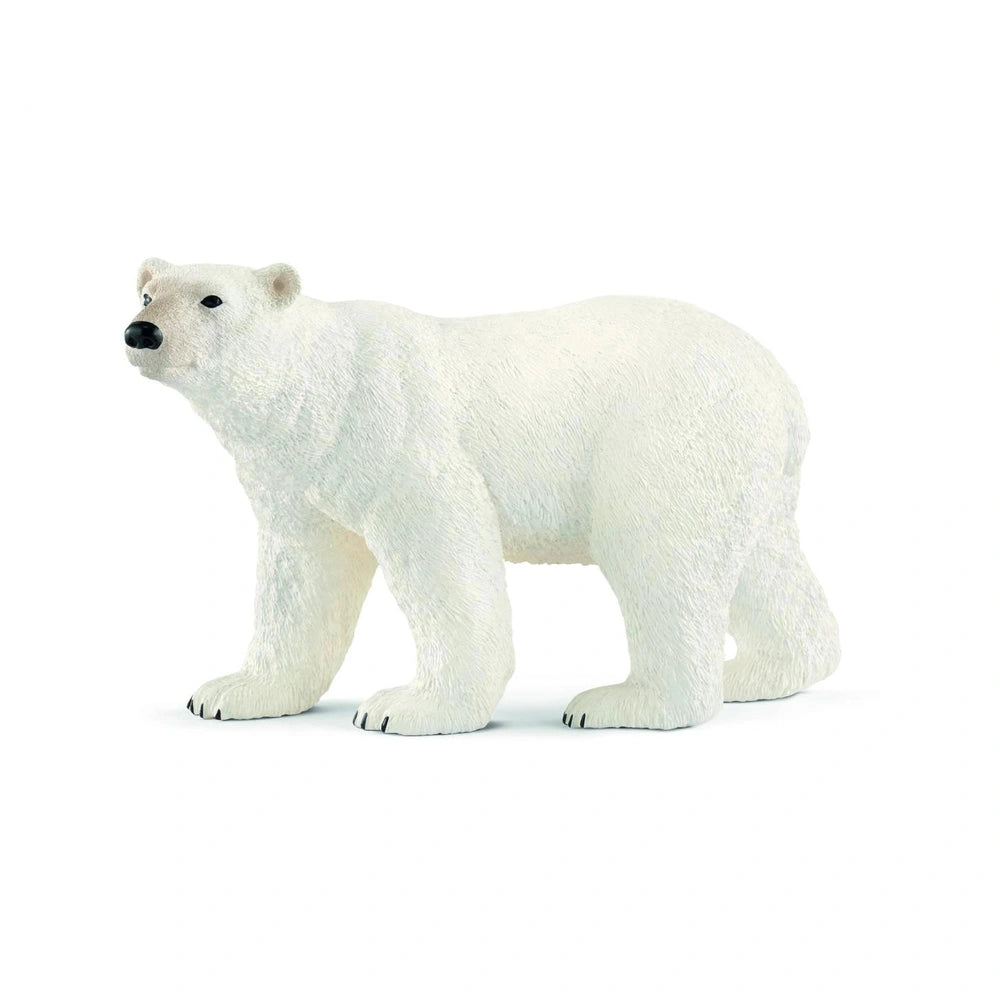 Schleich - Wild Life - Polar Bear - Action & Toy Figures - 14800