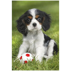 SCHMIDT SPIELE - My cutest baby animals 48 Pcs Children’s puzzles - Puzzles