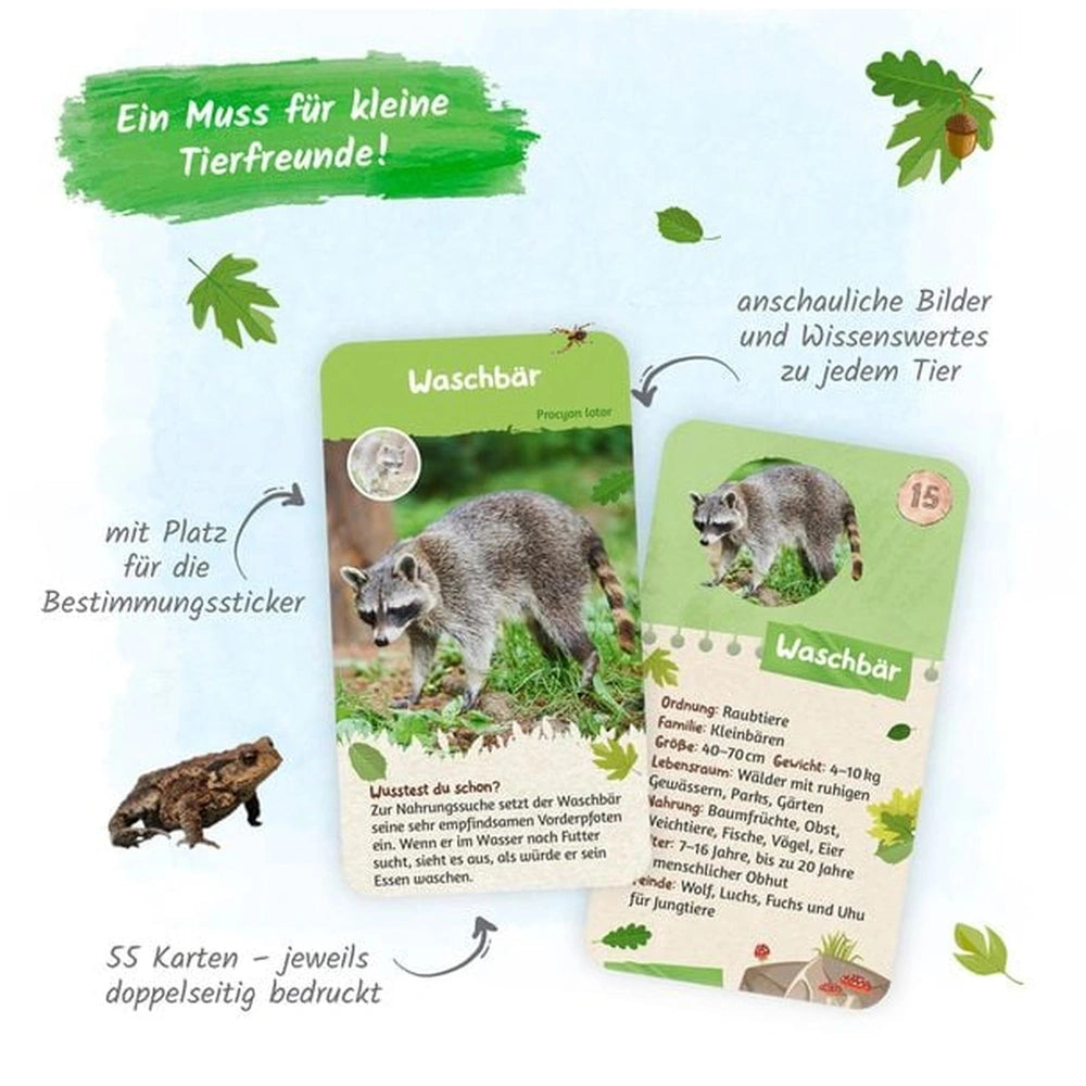 TROTSCH learning cards feature a vibrant illustration of a raccoon in a natural setting with educational German text.