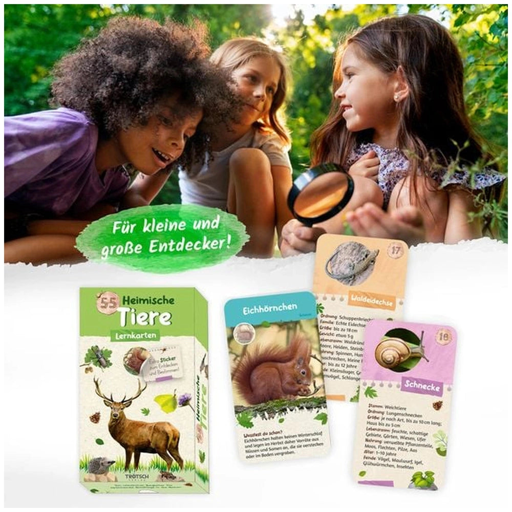 TROTSCH Learning Cards showcase children exploring nature with a magnifying glass amidst vibrant greenery and educational mat