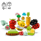 LEGO 10984 DUPLO My First Organic Garden Brick Box, Stacking Toys for Babies and Toddlers 1.5 Years Old, Learning Toy with Ladybird, Bumblebee, Fruit & Veg
