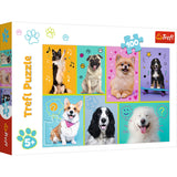 Trefl - 100 -piece puzzles - in the world of dogs