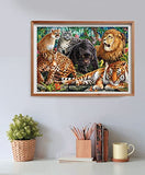 Clementoni 35126 collection-wild cats-500 made in italy, 500 pieces puzzles, animals, fun for adults, multicolour, medium