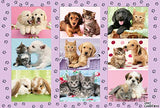 Schmidt 56268 My Animal Friends Game, Multicolour, 100