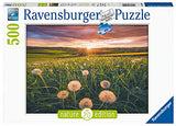 Ravensburger puzzle 16990 dandelions at sunset-nature edition 500 pieces