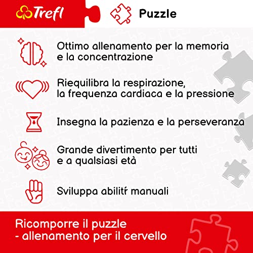 Trefl - 1000 pieces puzzle - Sunset Ride