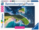 Ravensburger puzzle 16909 adult puzzle