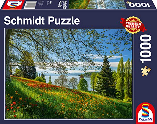 Schmidt CGS_58967 Puzzle, Multicolor