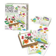 4M - Green Creativity - Pressed Flower Art - Arts & Crafts - Ages +5