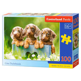 Castorland - 100 Piece Puzzle - Cute Dachshunds