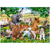 Castorland - 100 Piece Puzzle - On the Farm