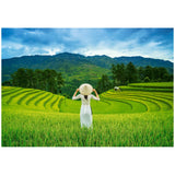 Castorland - 1000 Piece Puzzle - Rice Fields in Vietnam